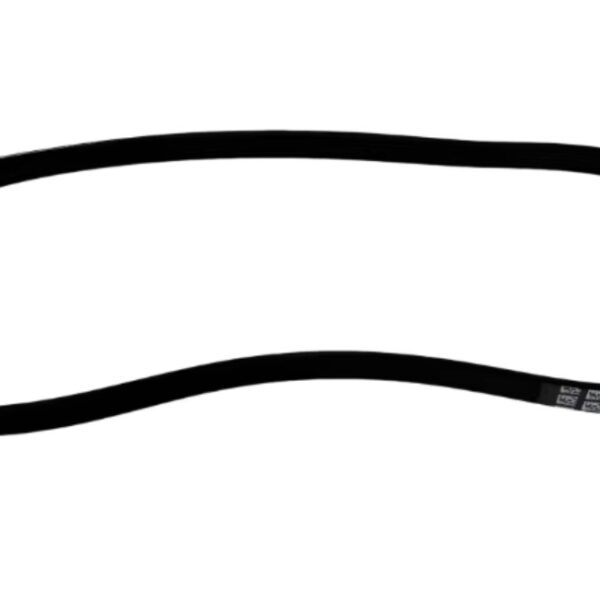06K903137F - Drive Belt