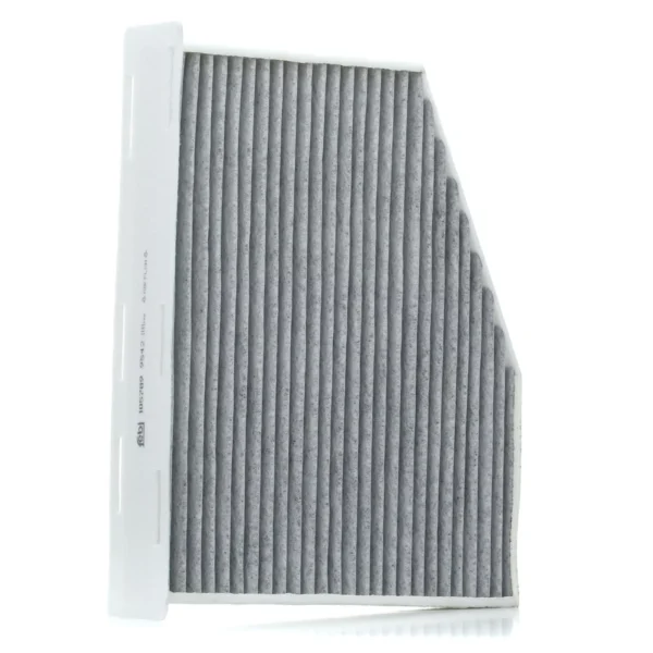 1K1819653B - Pollen Filter