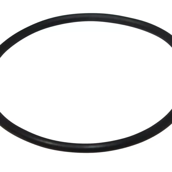 N91084501 - DSG Oil Filter O-Ring