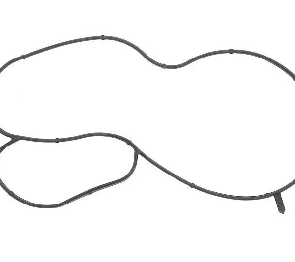 04E121119C - Water Pump Mounting Gasket