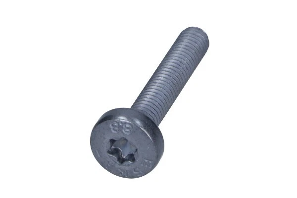 N91097201 - Timing Chain Bolt M6x35
